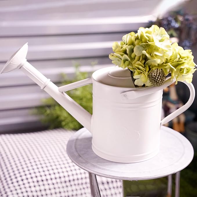 1 Gallon White Metal Watering Can for Indoor and Outdoor Plants, Removable Watering Rose and Spout, Dual Handle Garden Water Can for Patio, Greenhouse and Houseplants