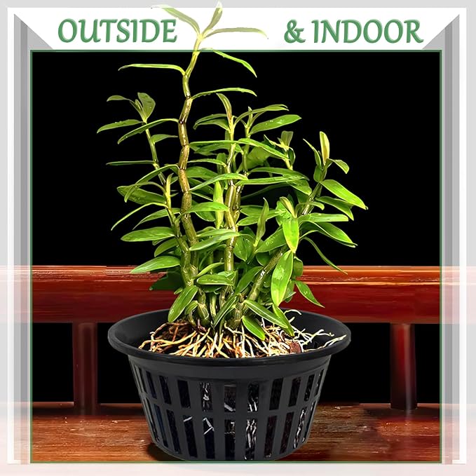 5 Pack 11 Inch Heavy Duty Hydroponic Net Pots, Black Strong Plastic Slotted Mesh Baskets for Orchids, Staghorn Ferns and Airy Grid Planters, with Support Wire
