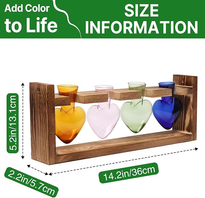Plant Propagation Stations Heart Plant Terrarium Kit | Gift for Women Plant Lover Glass Vases