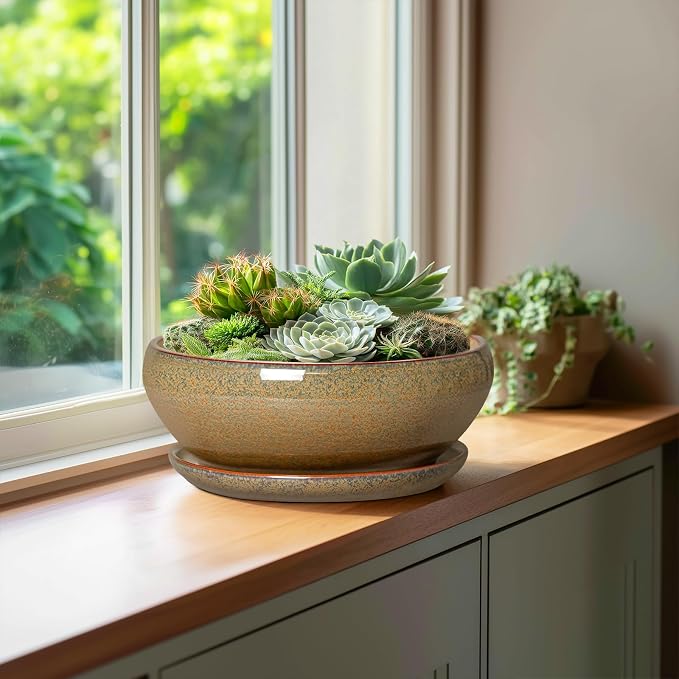 SQOWL Bonsai Planter - 10 Inch Ceramic Succulent Pots, Shallow Plant Pot Indoor with Drainage Hole and Saucer, Ceramic Bonsai Pots, Round Planter Bowl Outdoor, House Decor, Plant Lover Gifts, Brown