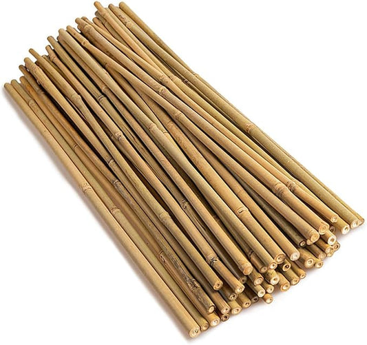 Natural Bamboo Plant Stakes (BS-18in-30pcs)