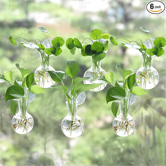 Bunmery 6 pcs Window Propagation Stations, Easy to Install Plant Propagation Bulbs with Suckion Cups, No Nails Wall Hanging Planter Propagation Station, Glass Plant Terrarium Vase
