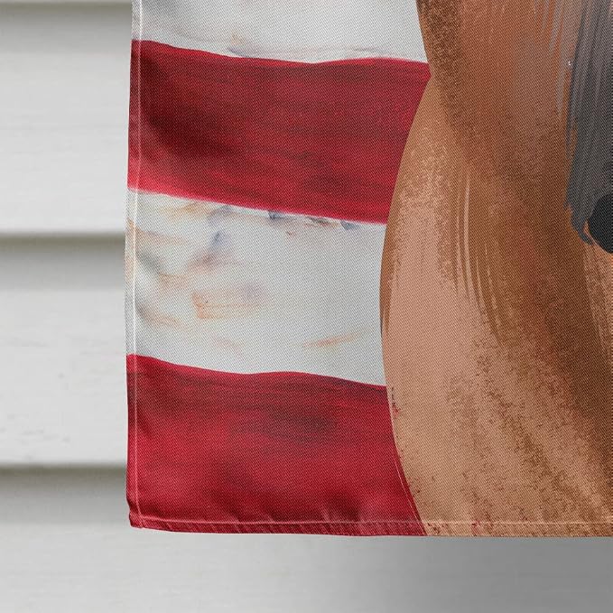 Caroline's Treasures CK6444CHF Boerboel Dog American Flag House Flag Large Porch Sleeve Pole Decorative Outside Yard Banner Artwork Wall Hanging, Polyester, House Size, Multicolor