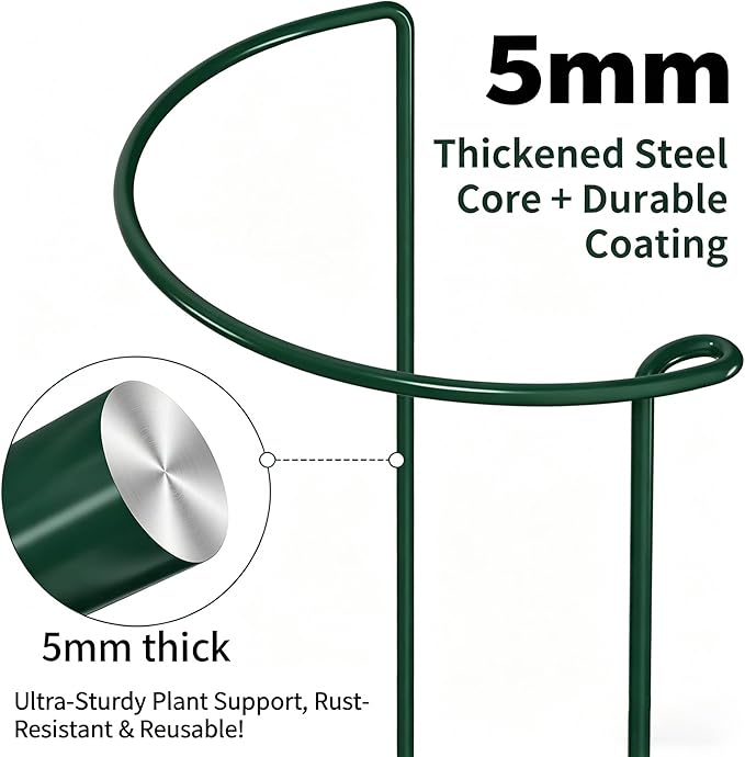 AMAGABELI GARDEN & HOME 12 Pack Peony Cage Plant Support Stakes 10" W x 16" H Heavy Duty Ring Metal Garden Support Structures Plant Cage with Ties for Indoor Flower Outdoor Tomato Hydrangea Monstera