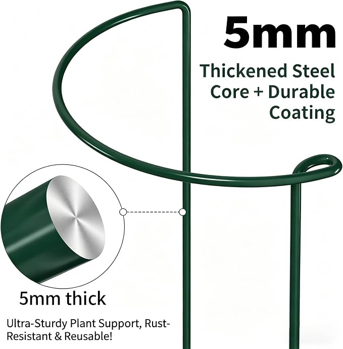 AMAGABELI 12 Pack 24 Inch Plant Support Stakes Peony Cage Heavy Duty Ring Metal Garden Support Structures Plant Cage with Ties for Indoor Flower Outdoor Tomato Hydrangea Monstera