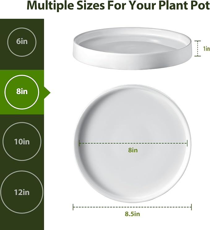 saffruff White Ceramic Plant Saucer 8 Inch, 2 Pack Sturdy Plant Pot Tray Plate for Flower Pots, Round Ceramic Saucer Tray to Catch Water Drip & Drainage, Indoor Outdoor Planter Base