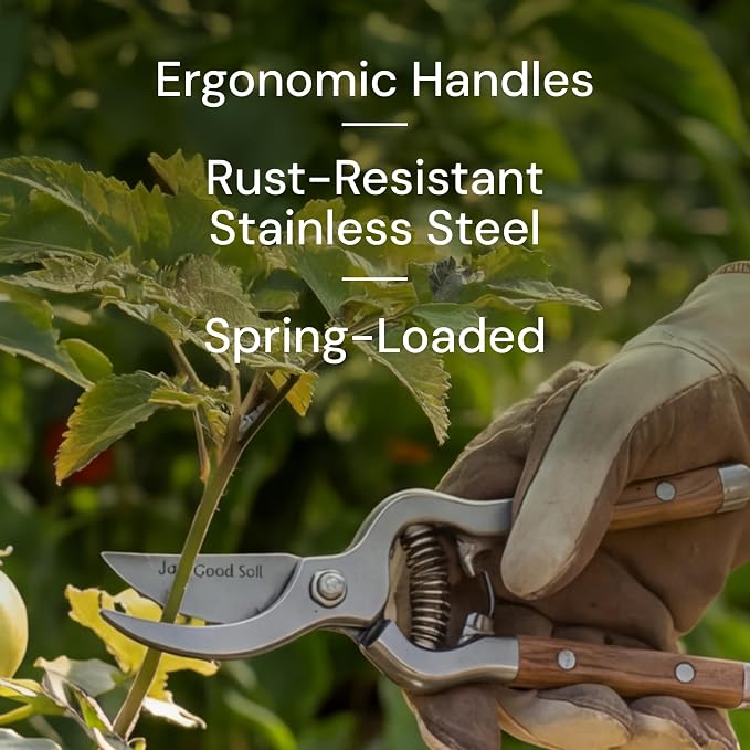Garden Pruning Kit – Bypass Pruner and Precision Snips Set for Gardening, Plant Care, Indoor & Outdoor Plants, Rose Pruning, Garden Shears, Plant Trimming, and Floral Scissors