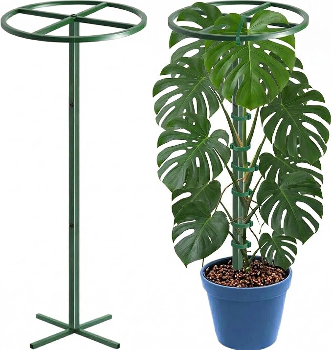 61" Adjustable Plant Trellis, Round Ring, Green | Round support ring design. Anti-tipping base fits inside pot. Modular heavy duty iron.