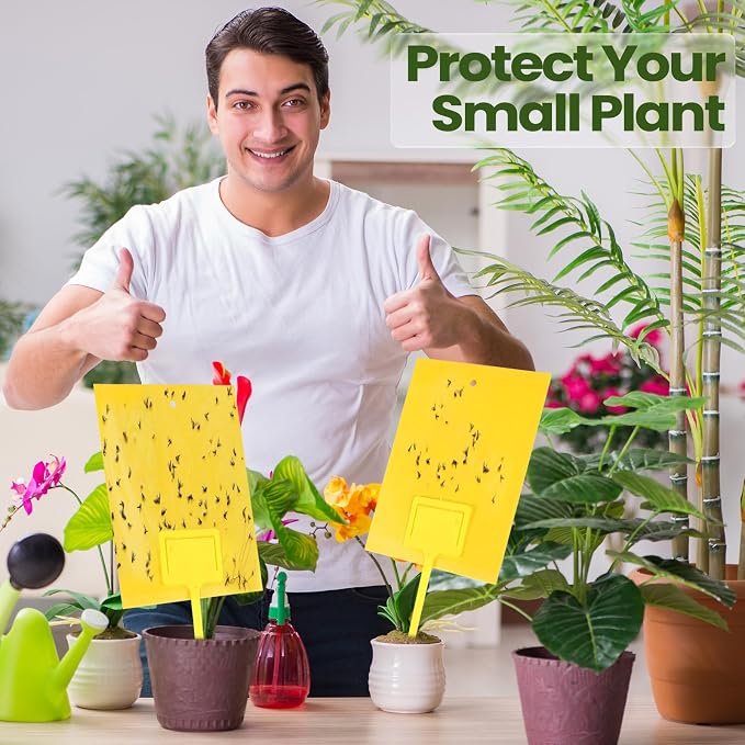 Qualirey 200 Pcs Yellow Sticky Traps for Gnats, 6 x 8 Inch Dual Sided Gnat Traps for Indoor Outdoor Plants, Fungus Gnat Sticky Cards for Fruit Flies Whiteflies Thrips, Twist Ties and Plastic Holders