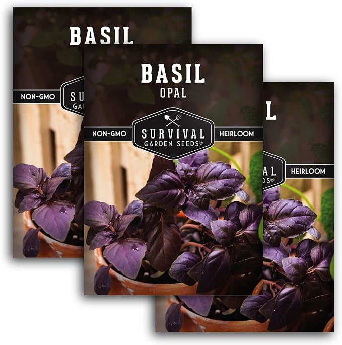 Opal Basil Seeds for Planting - Survival Garden Seeds (3 Pack) | Dark Purple, Nearly Black Leaves - Unique Herb Seed Variety - Heirloom, Non-GMO Herbs for Home Gardens