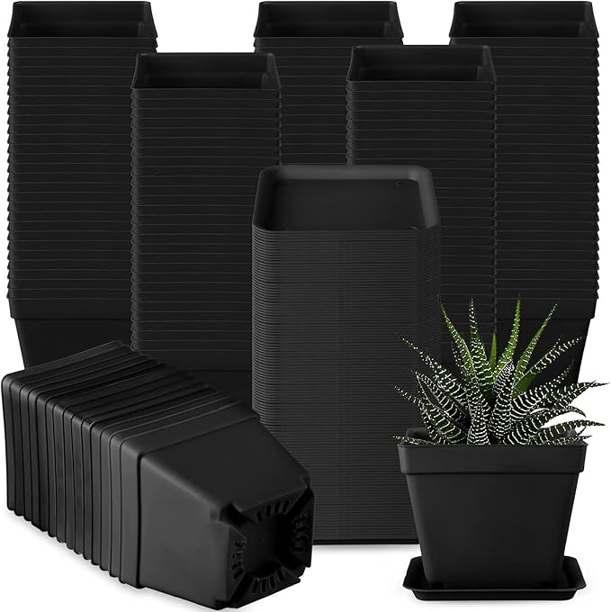 Amyhill 100 Pcs 4 Inch Flower Pots Square Plants Nursery Pot Plastic Plant Seedling Pots Small Nursery Transplanting Planter Container with Saucer for Indoor Succulent Balcony Garden (Black)