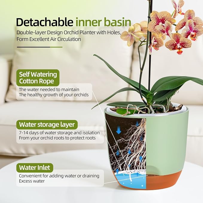 QCQHDU 5.7Inch Orchid Pots with Holes for Repotting, Double-Layer Plastic Self Watering Flower Pots for Indoor Plants with Drainage Holes, Clear Orchid Pot Match Decorative Orchid Container, 5 Packs