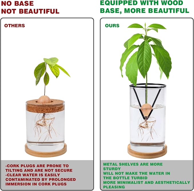 Bylion 2 Pack Avocado Tree Growing Kits - Avocado Growing Vase - Avocado Seed Starter Vase Glass Plant Pot Easy Seed Sprout Starter Gift for Women Gardening Lovers Home Office (Black)