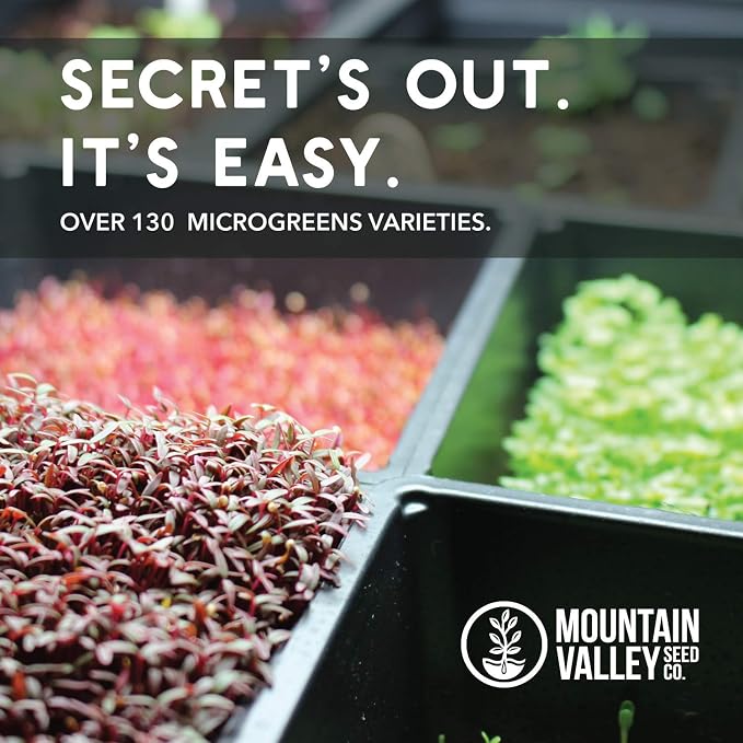 Mountain Valley Seed Co Speckled Pea Sprouting Seeds - 5 Lbs - Certified | Organic Microgreen Seeds Bulk, Non-GMO Green Pea Sprouts Seeds for Microgreens