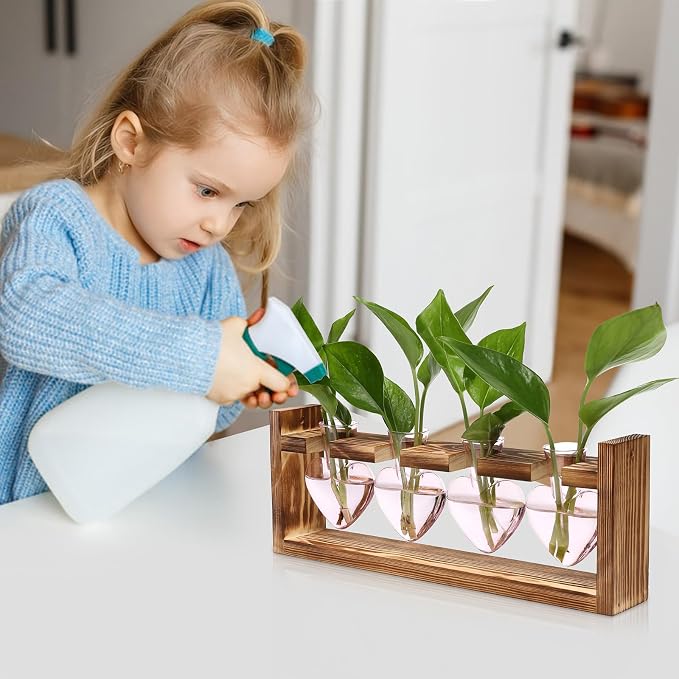 Plant Propagation Stations Heart Plant Terrarium Kit | Gift for Women Plant Lover Glass Vases