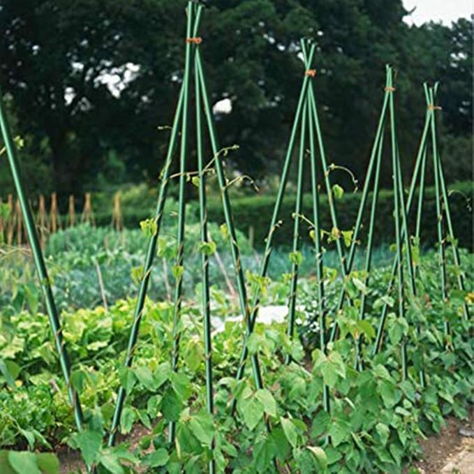 Growsun 6ft Tomato Stakes Plant Stake Supports Garden Fences Trellis Metal Plastic Coated Plant Cage Supports Climbing, Pack of 50
