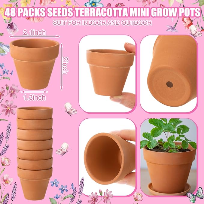 Reallnaive Baby Shower Party Favors Baby in Bloom Envelopes Seed Packets Include 48 Mini Terracotta Pots Seed Packets 48 Self Adhesive Envelopes Thank You Tags Gifts for Party