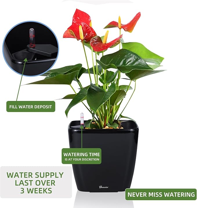 Dexceder 9x8 Self Watering Planter (Black High Gloss) | Inner Mat Design, Thickened Table Flower Plant Pot with Water Level Indicator Indoor Outdoor