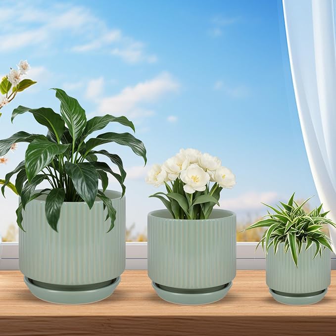 Ceramic-5-inch-Flower-Pots-with-Saucer, Small Planters for Indoor Plants with Drainage Hole, White Textured Vertical Stripe Plant Pots for Home Decor, Garden Pot For Succulent Cactus Mint Basil Herb
