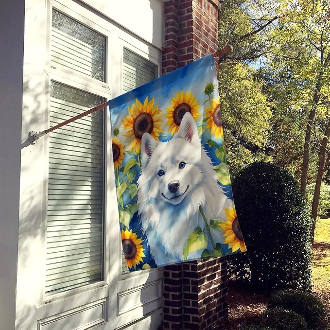 Caroline's Treasures DAC6008CHF American Eskimo in Sunflowers House Flag Large Porch Sleeve Pole Decorative Outside Yard Banner Artwork Wall Hanging, Polyester, House Size, Multicolor