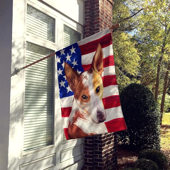 Caroline's Treasures CK6610CHF Majorca Ratter American Flag House Flag Large Porch Sleeve Pole Decorative Outside Yard Banner Artwork Wall Hanging, Polyester, House Size, Multicolor