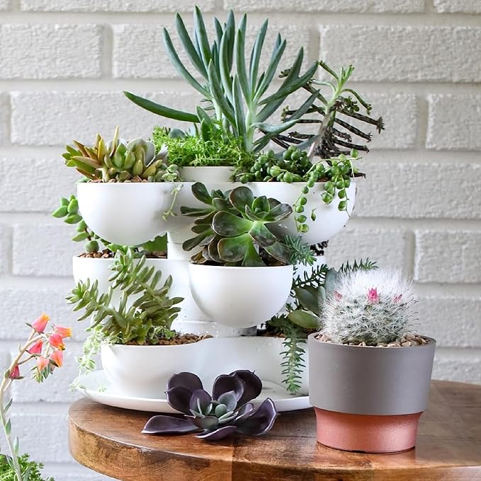 The HC Companies 3 Inch Sprite Mini Succulent Pot - Small Plastic Planter with Drainage for Indoor Plants, Artisan Taupe (20 Pack)