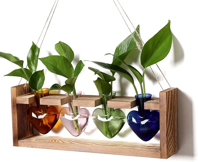 Plant Propagation Stations Heart Plant Terrarium Kit | Gift for Women Plant Lover Glass Vases