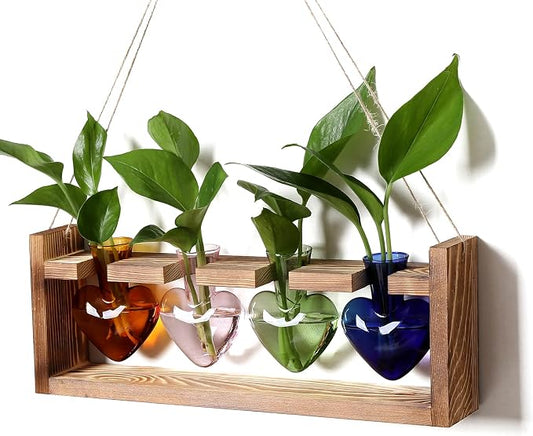 Plant Propagation Stations Heart Plant Terrarium Kit | Gift for Women Plant Lover Glass Vases