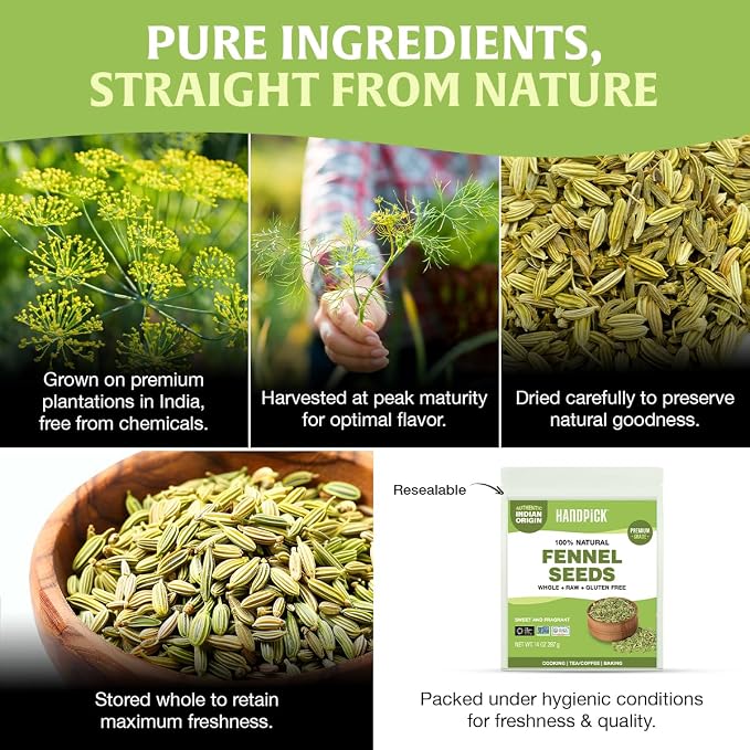 HANDPICK Fennel Seeds (397g/14oz) Tested for Quality | Raw Fennel Seed | Perfect for Cooking, Teas, Smoothies & Lattes | Bulk Whole Seeds in Resealable Zip Lock Pouch (Packaging may vary)