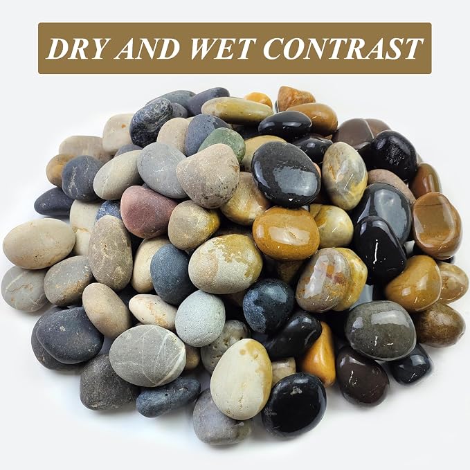 FANTIAN 5 lbs Natural Aquarium Rocks, 2-3 Inch Large Pebbles.Decorative River Rocks for Plants, Fish Tank, Garden, Paving, Fountain, Walkways and Outdoor Landscaping