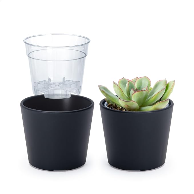 Phoenix Vine 3.5 Inch Black Plastic Cachepot with Clear Nursery Pot, Decorative Lightweight Planter Cover with Transparent Inner Pot for Indoor Houseplants, Pack of 2, 24-A-E-2