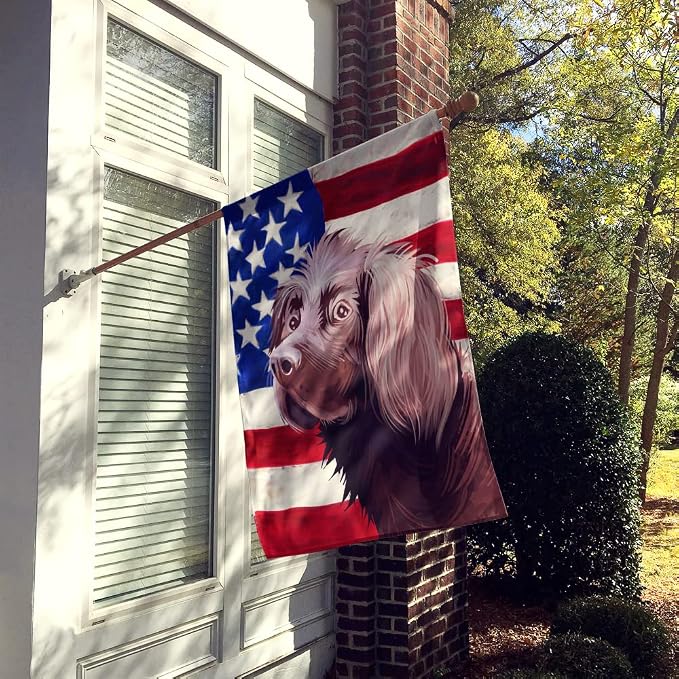 Caroline's Treasures CK6533CHF German Longhaired Pointer American Flag House Flag Large Porch Sleeve Pole Decorative Outside Yard Banner Artwork Wall Hanging, Polyester, House Size, Multicolor