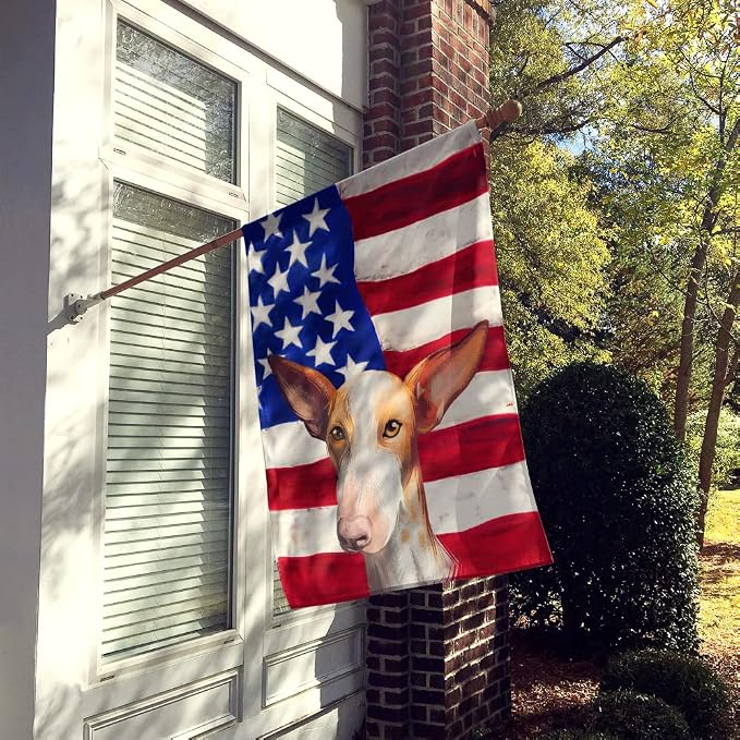 Caroline's Treasures CK6648CHF Podenco Canario Dog American Flag House Flag Large Porch Sleeve Pole Decorative Outside Yard Banner Artwork Wall Hanging, Polyester, House Size, Multicolor