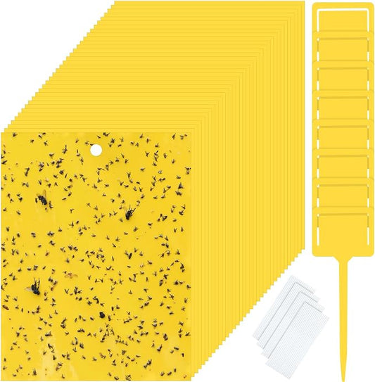 Qualirey 150 Pcs Yellow Sticky Traps for Gnats, 6 x 8 Inch Dual Sided Gnat Traps for Indoor Outdoor Plants, Fungus Gnat Sticky Cards for Fruit Flies Whiteflies Thrips, Twist Ties and Plastic Holders