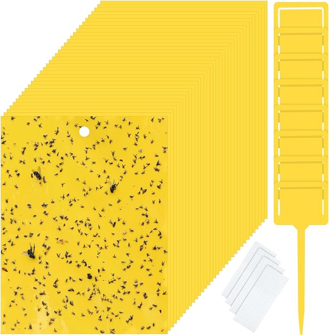 Qualirey 200 Pcs Yellow Sticky Traps for Gnats, 6 x 8 Inch Dual Sided Gnat Traps for Indoor Outdoor Plants, Fungus Gnat Sticky Cards for Fruit Flies Whiteflies Thrips, Twist Ties and Plastic Holders