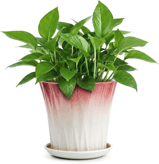 8.3 Inch Ceramic pots for Plants with Saucer Drainage Leak-Proof Mesh, Round Plant Pot with Gardening Gloves for Indoor Outdoor Plants (Rippled Pink)