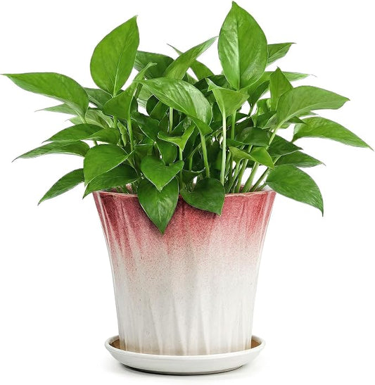 8.3 Inch Ceramic pots for Plants with Saucer Drainage Leak-Proof Mesh, Round Plant Pot with Gardening Gloves for Indoor Outdoor Plants (Rippled Pink)