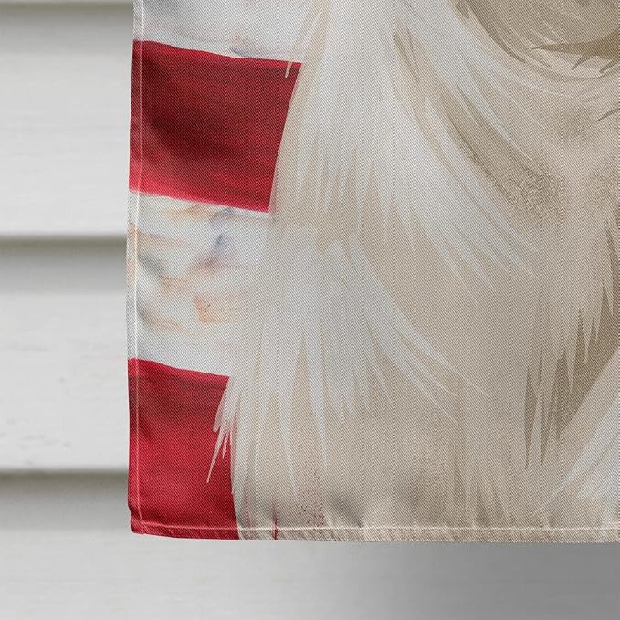 Caroline's Treasures CK6575CHF Istrian Shorthaired Hound American Flag House Flag Large Porch Sleeve Pole Decorative Outside Yard Banner Artwork Wall Hanging, Polyester, House Size, Multicolor