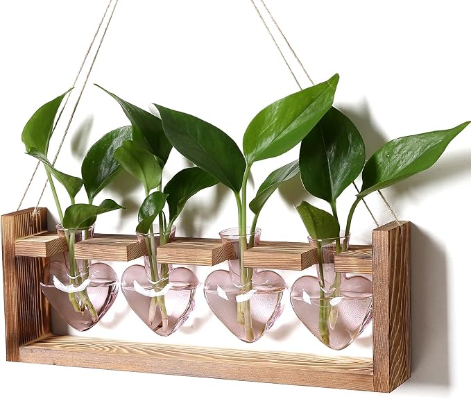 Plant Propagation Stations Heart Plant Terrarium Kit | Gift for Women Plant Lover Glass Vases