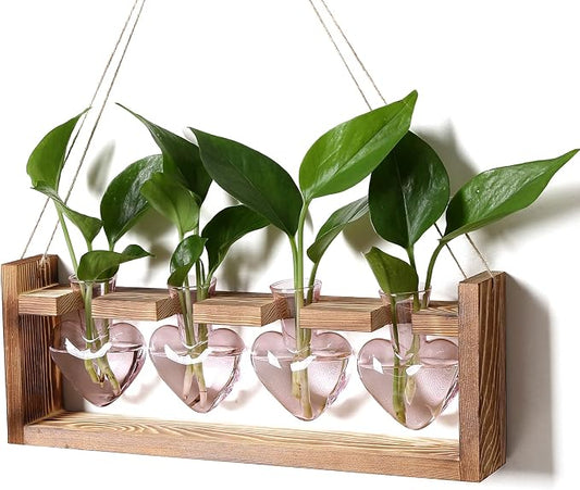 Plant Propagation Stations Heart Plant Terrarium Kit | Gift for Women Plant Lover Glass Vases