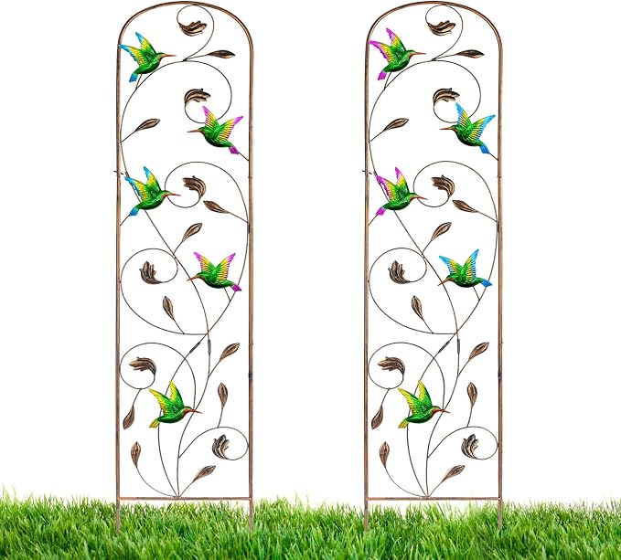 LEWIS&WAYNE 2 Pack Metal Garden Trellis with Colorful Hummingbird 60 Inch High Outdoor Decoration Arched Fence Trellis for Climbing Plants for Patio, Lawn, Yard, Backyard, Wall Brackets