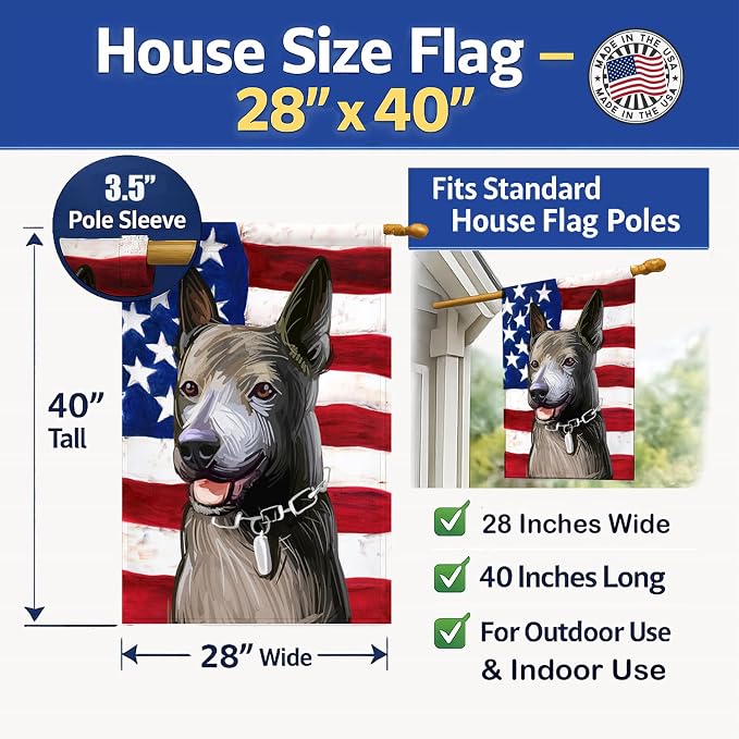 Caroline's Treasures CK6733CHF Taiwan Dog American Flag House Flag Large Porch Sleeve Pole Decorative Outside Yard Banner Artwork Wall Hanging, Polyester, House Size, Multicolor