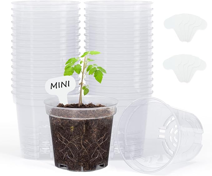 homenote Clear Nursery Pots for Plants,3 Inch Plant Pot for Planting Plastic Seedling with Drainage Holes Seed Starter Flower High Transparency with 10 Labels (30 Pack)