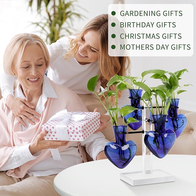Plants Propagation Stations Plant Terrarium Kit Gift for Women | Birthday Glass Planters For Indoor Plants Home Office Decor Acrylic Plant Accessories - 4 Love Hear Vase