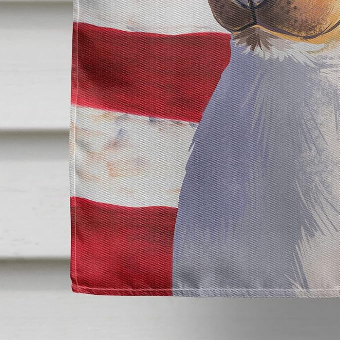Caroline's Treasures CK6460CHF Brazilian Terrier Dog American Flag House Flag Large Porch Sleeve Pole Decorative Outside Yard Banner Artwork Wall Hanging, Polyester, House Size, Multicolor