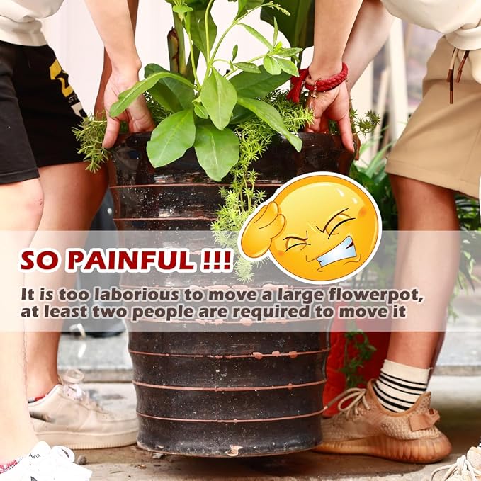 5 Pack Plant Caddy with Wheels Heavy Duty 12 Inches Metal Plant Stand on Wheels Plant dolly Rolling Plant Stand Plant Roller with Casters for Indoor and Outdoor with 5 Pack Plant Saucers, Black