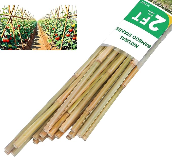 Natural Bamboo Plant Stake（2FT 50Pcs） Sturdy Bamboo Poles, Durable Plant Bamboo Stake, Garden Climbing Plant Bracket.
