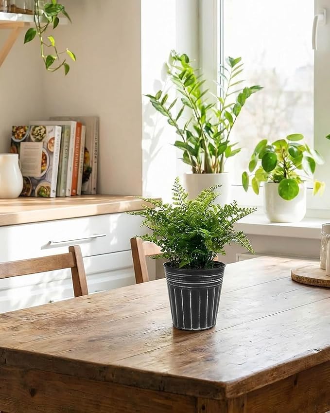vensovo 5 Inch Galvanized Bucket Planter - 6 Pack Metal Flower Pots with Drainage Holes & Plugs, Rustic Black Tin Pots for Indoor Herbs, Outdoor Succulents, Farmhouse Home Garden Decor