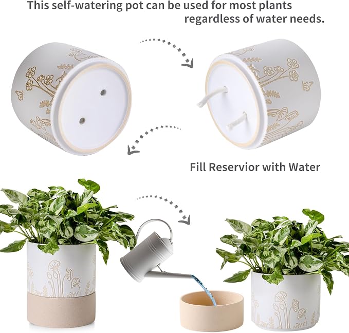 Nihow Self Watering Pots for Indoor Plants,6 Inch,White & Nature | Hand Painting,Ceramic Planter, Drainage Hole & Water Storage Plus, Cylinder Round Flower Pot, For Succulent/Herbs/Violets