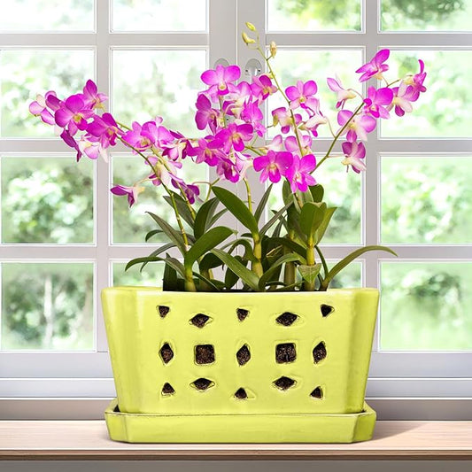 Teenyyou 1 Set Orchid Pot with Holes 9.5 Inch Ceramic Orchid Pot with Saucers for Repotting Amaryllis Flower Planter Include Gardening Shovel Set and Gloves for Home Decor(Yellow)